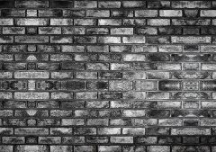 軟件下載站-權(quán)重2-7年老站